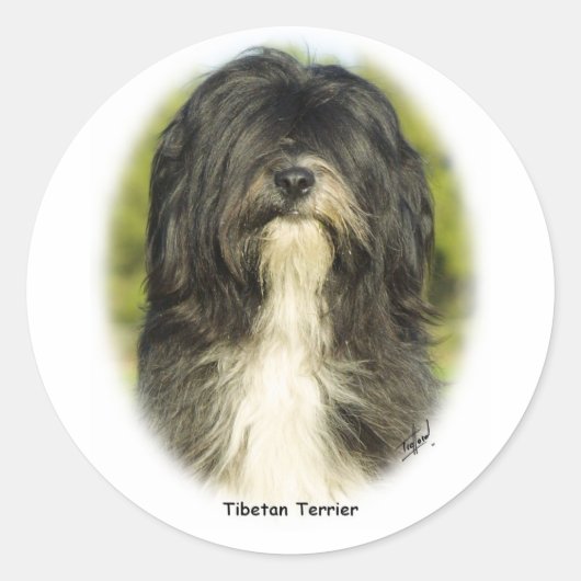 Sticker Rond Terrier tibétain (Devant)