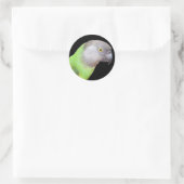 STICKER ROND TÊTE DE PARROT SÉNÉGAL (Sac)