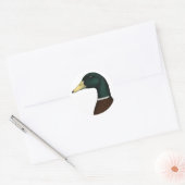 Sticker Rond Tête Mallard Drake (Enveloppe)