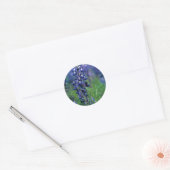 Sticker Rond Texas Bluebonnet-2-Best (Enveloppe)
