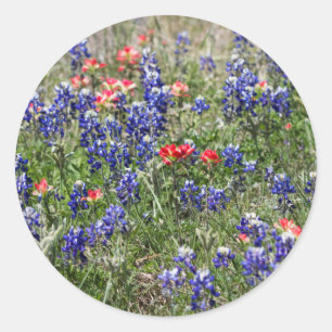 Sticker Rond Texas Bluebonnets & Fleurs sauvages indiens