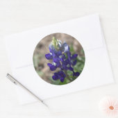 Sticker Rond Texas Bluebonnets série photo #9 (Enveloppe)
