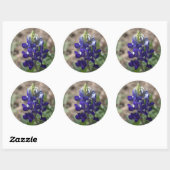 Sticker Rond Texas Bluebonnets série photo #9 (Feuille)