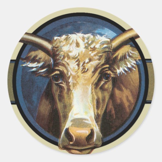 Sticker Rond Texas Steer Longhorn (Devant)