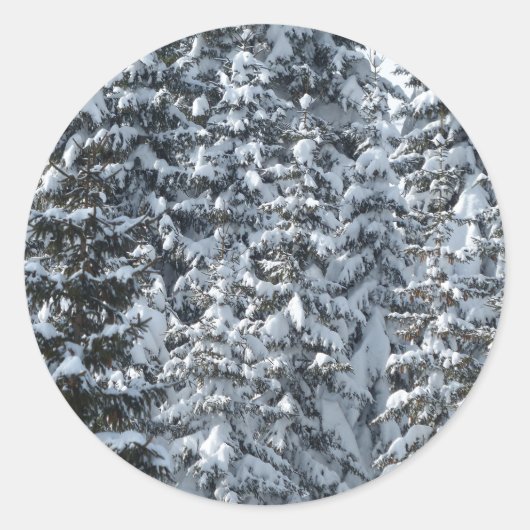 Sticker Rond Texture de l'arbre à neige (Devant)