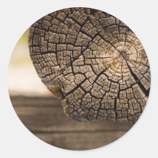 Sticker Rond Textures en bois Cabine (Devant)