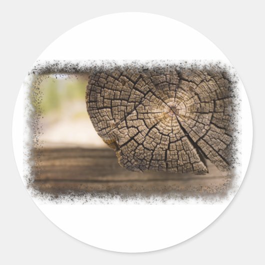 Sticker Rond Textures en bois Cabine (Devant)
