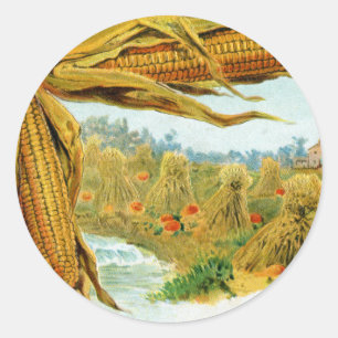 Sticker Rond Thanksgiving de cru de maïs et de citrouilles