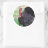 Sticker Rond Thanksgiving Turkey Bird (Sac)