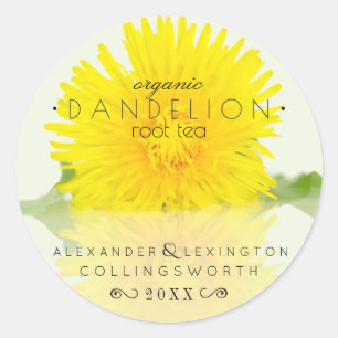 Sticker Rond Thé de racine de Dandelion biologique