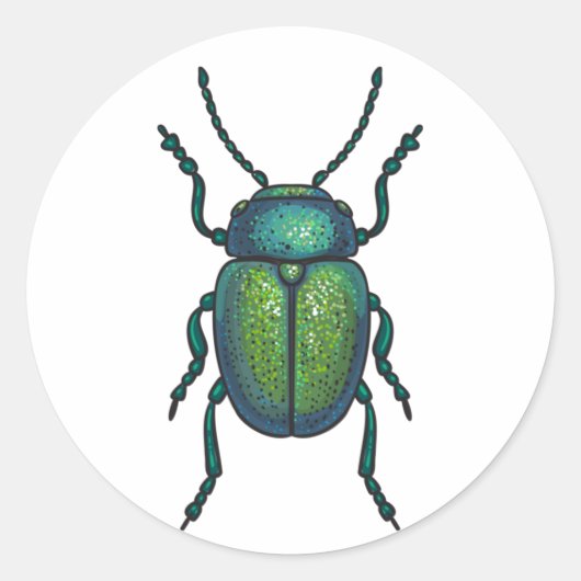 Sticker Rond The tansy beetle (Devant)