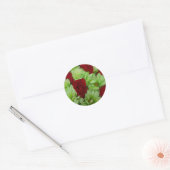 Sticker Rond Thomasse (Enveloppe)