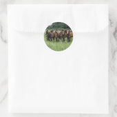 Sticker Rond Thoroughbred Youngsters (Sac)