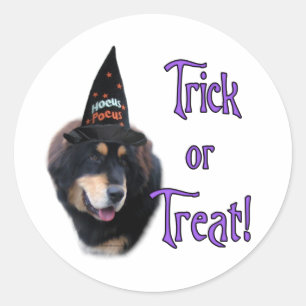 Sticker Rond Tibétain Mastiff Trick
