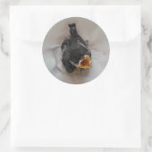 Sticker Rond Tidi my Bird le Parus Major (Sac)