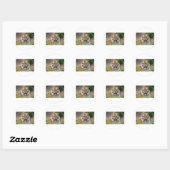 Sticker Rond Tiger Smile (Feuille)