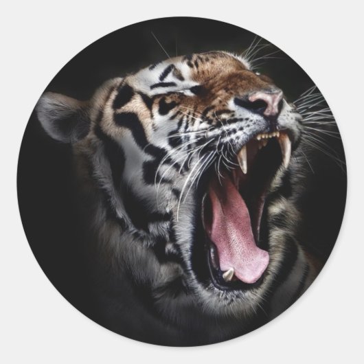 Sticker Rond Tigre (Devant)