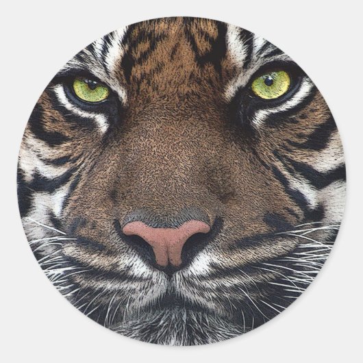 Sticker Rond Tigre (Devant)