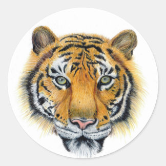 Sticker Rond Tigre