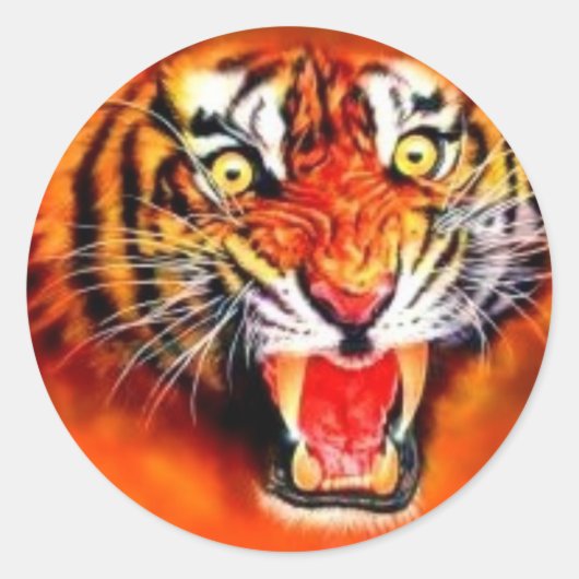 Sticker Rond Tigre (Devant)