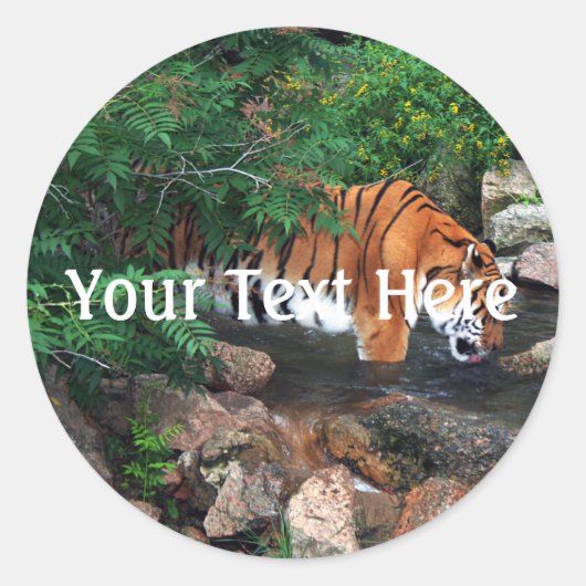 Sticker Rond Tigre à la chute (Devant)