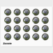 Sticker Rond Tigre blanc_6170e (Feuille)