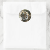 Sticker Rond Tigre du Bengale (Sac)