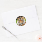 Sticker Rond Tigre du Bengale (Enveloppe)