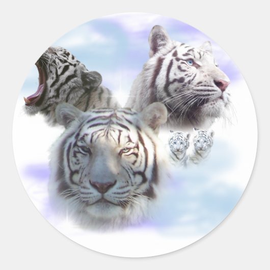 Sticker Rond Tigres blancs (Devant)