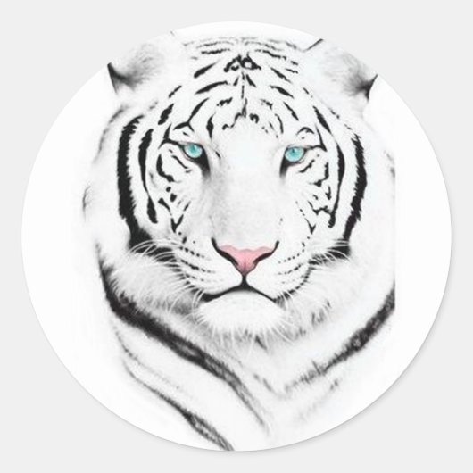 Sticker Rond Tigres blancs de Sibérie (Devant)