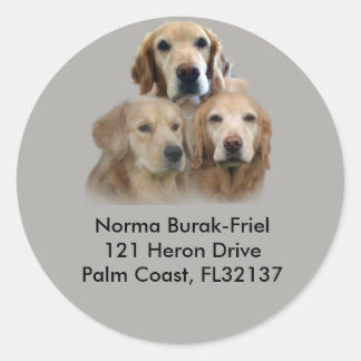 Sticker Rond Timbre d'adresse de retour Golden Retriever Trio