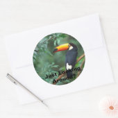 Sticker Rond Toco Toucan, Juste En Regardant Autour ? (Enveloppe)