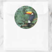 Sticker Rond Toco Toucan, Juste En Regardant Autour ? (Sac)