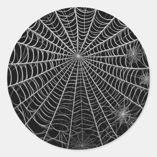 Sticker Rond Toiles d'araignées noires et blanches Spider Web H (Devant)