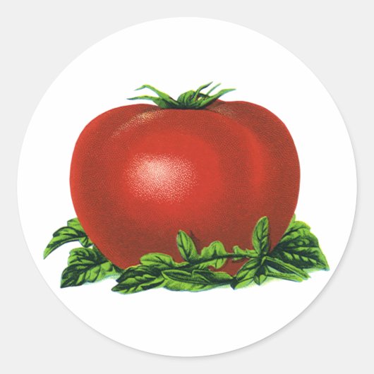 Sticker Rond Tomate rouge vintage, légumes et fruits (Devant)