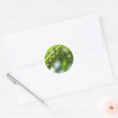 Sticker Rond Tomato (Enveloppe)