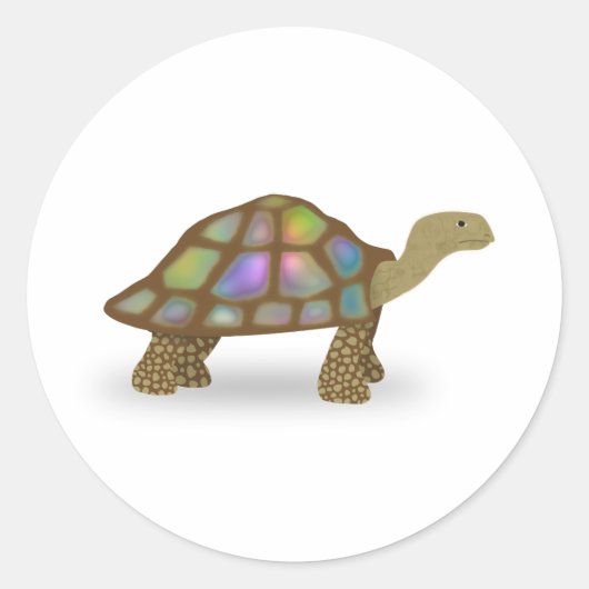 Sticker Rond Tortue (Devant)