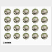 Sticker Rond Tortue (Feuille)