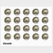 Sticker Rond Tortue (Feuille)