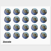 Sticker Rond Tortue de mer (Feuille)