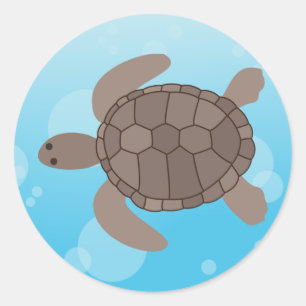 Sticker Rond Tortue de mer