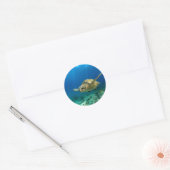 Sticker Rond Tortue de mer sous l'eau (Enveloppe)
