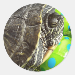 Sticker Rond Tortue de Pâques