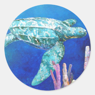 STICKER ROND TORTUE DE RETOUR