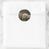 Sticker Rond Tortue géante (Sac)