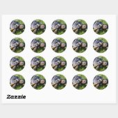 Sticker Rond Tortue grecque dans l'herbe (Feuille)