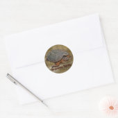 Sticker Rond Tortue serpentine Terrapin-lover Cadeau (Enveloppe)