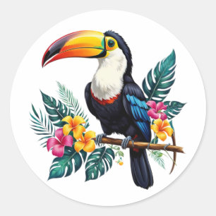 Sticker Rond toucan