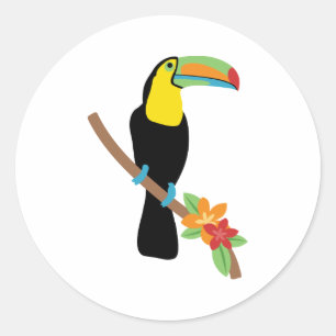 Sticker Rond Toucan Bird
