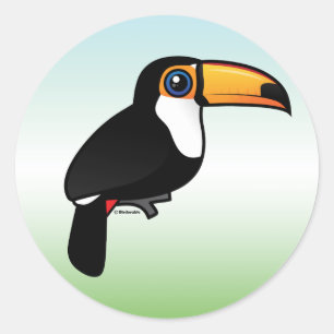 Sticker Rond Toucan de Toco